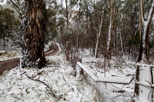 Pinnicale Reserve